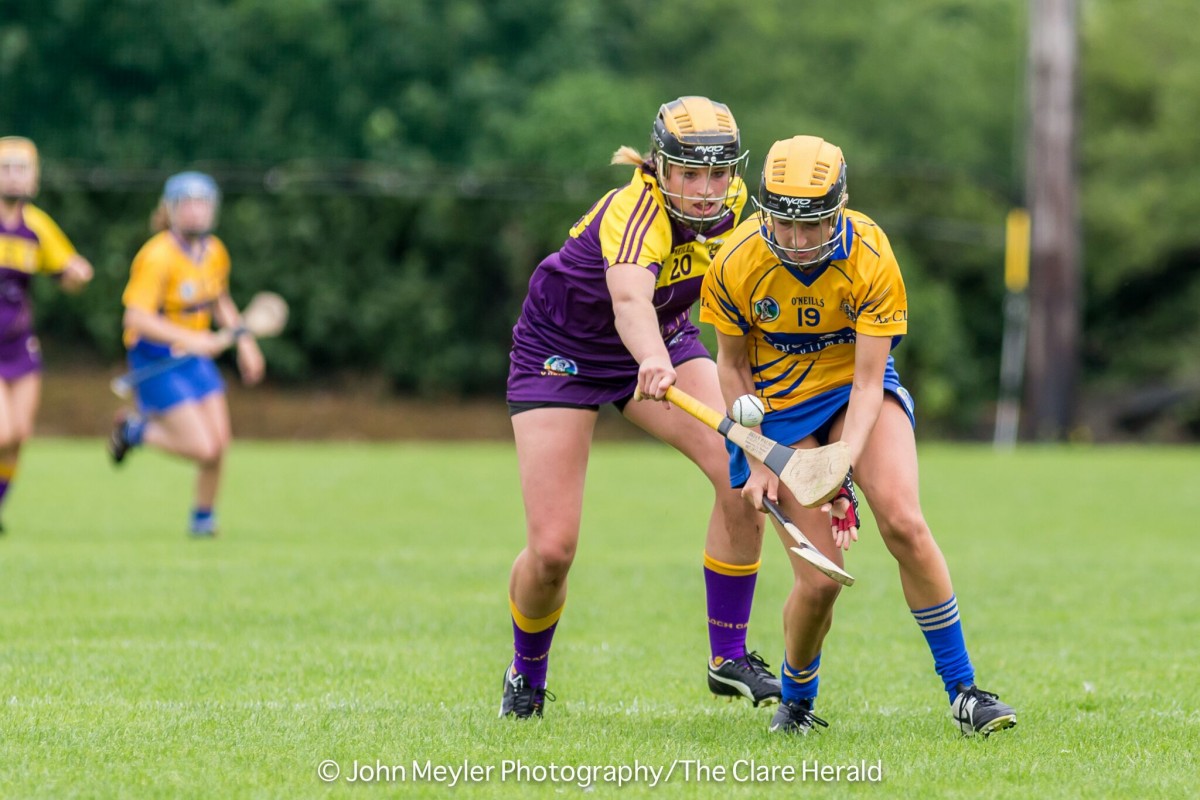 Camogie Clare vs Wexford 16-07-16 39