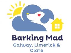 Dog lovers needed to help combat loneliness at Christmas