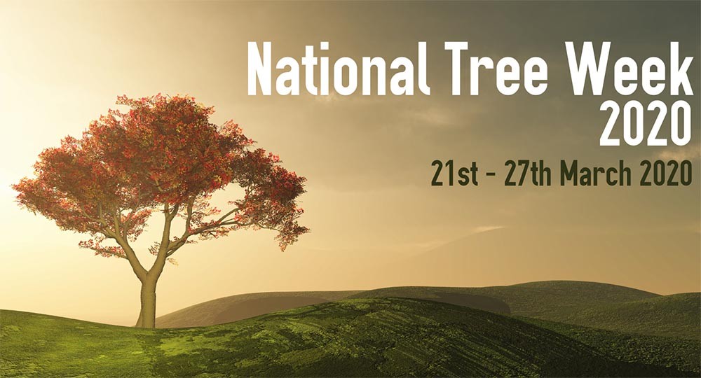 Council to make trees available for National Tree Week The Clare Herald