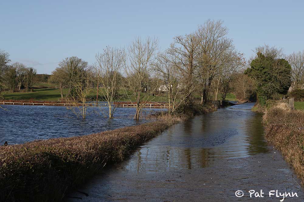 Flooding at Ballycar this week - Photo: © Pat Flynn 2016