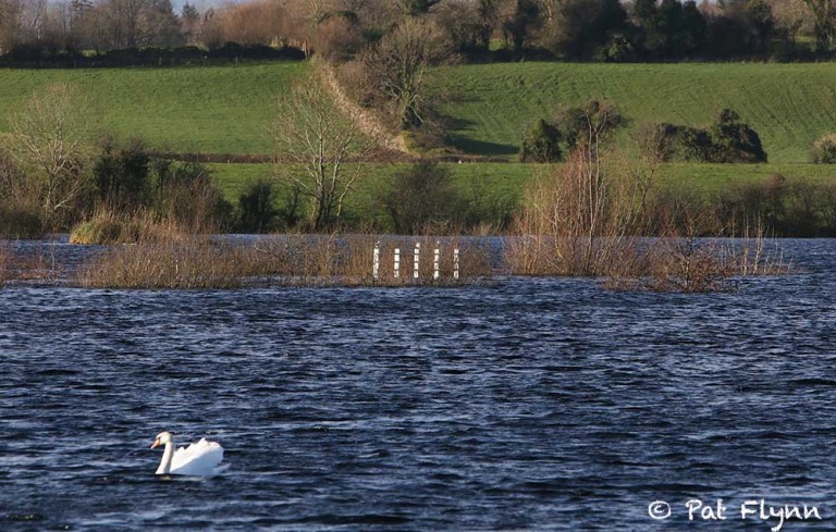 OPW continues to deny responsibility for flooding