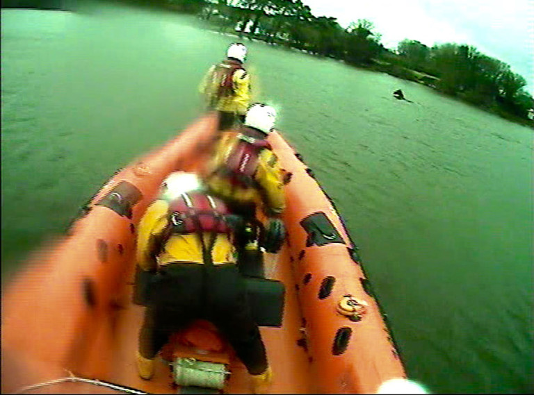Lifeboat crew rescues young horse from lake