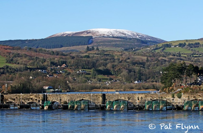 Coast Guard prevents boat from hitting bridge