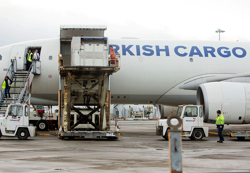 A horse is unloaded from a Turkish Cargo flight at Shannon - Pic: Brian Arthur Photo