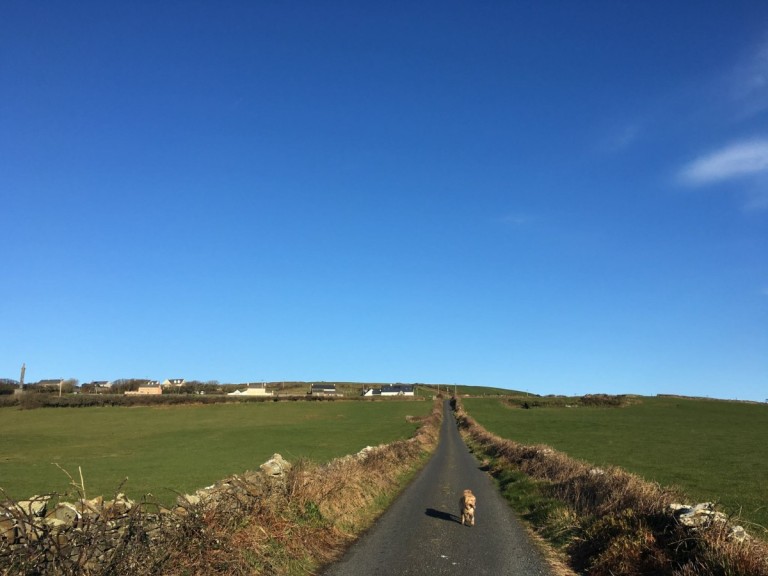 Rural Development Forum & Strategy on the way in Clare