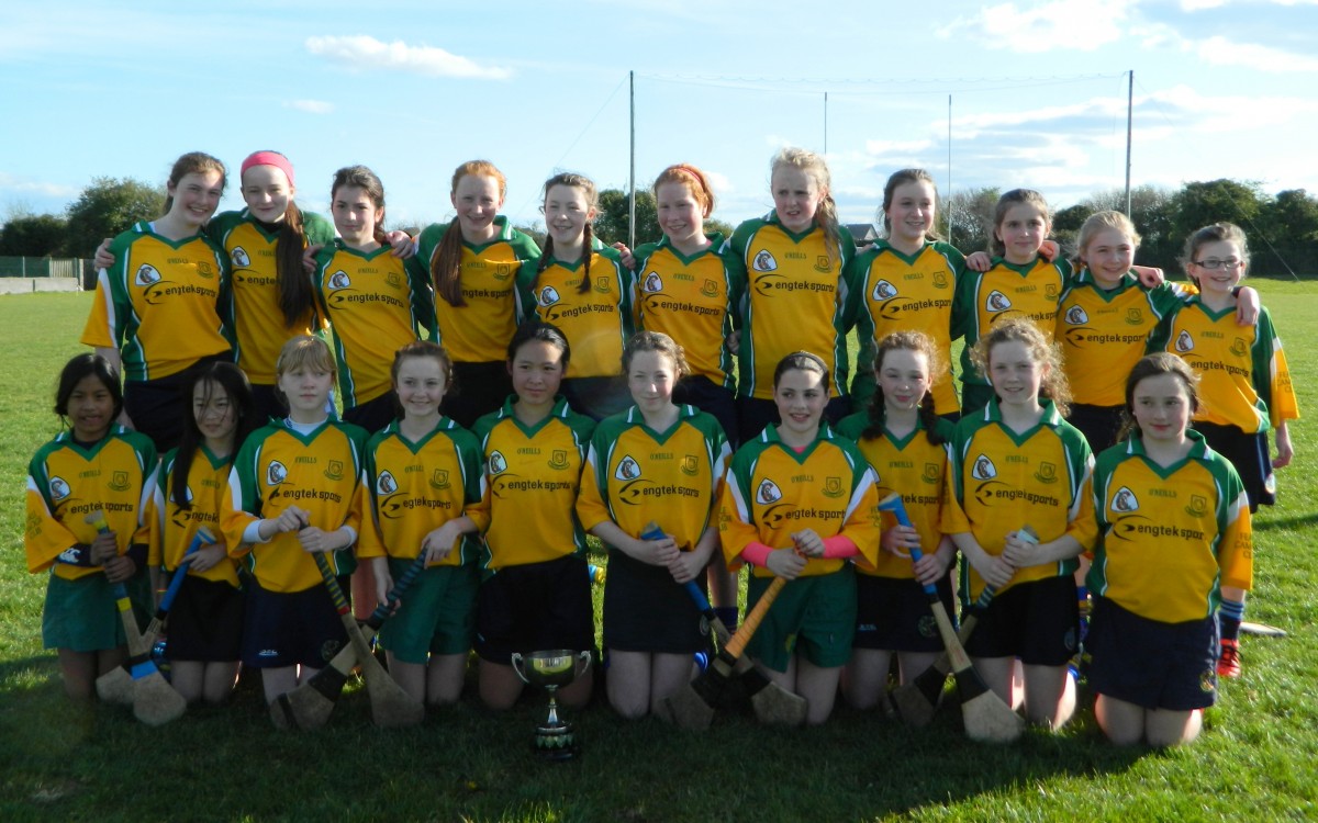 Feakle-Killanena Féile Camogie