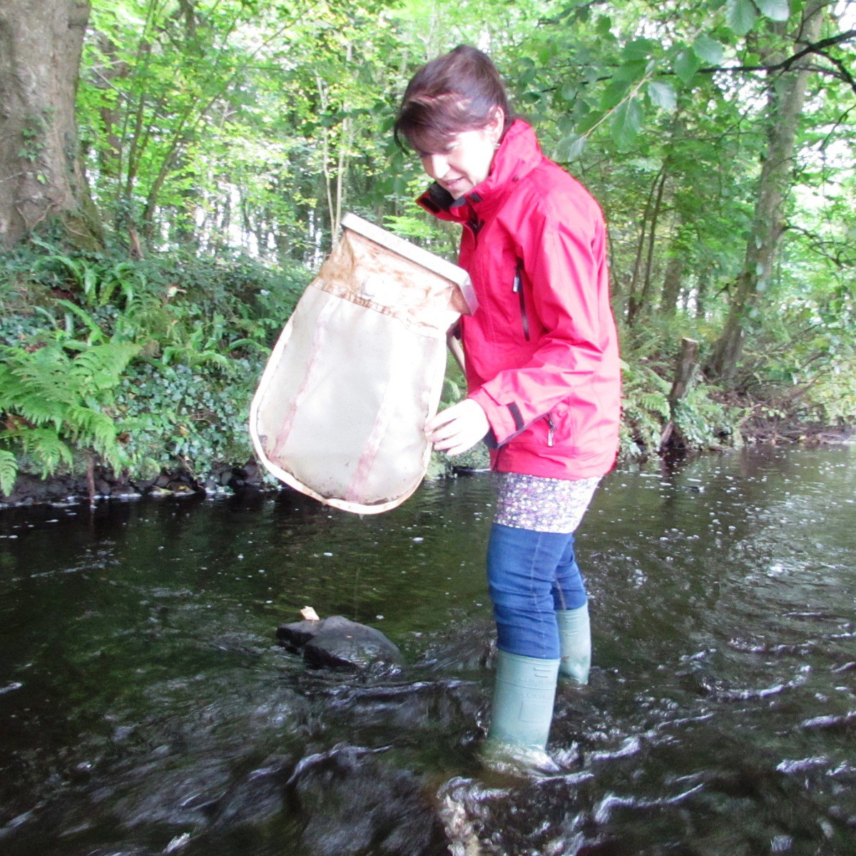 Tracey Duffy, Environmental Scientist, Catchment Science Team, Clare County Council, carrying out biological monitoring on the Wood River, Kilrush.