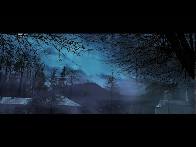 Lou’s music video features Pogue’s Terry Woods