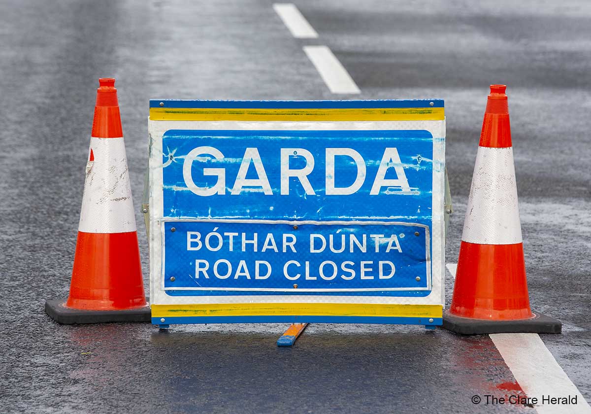 Women in critical condition after car collides with horse