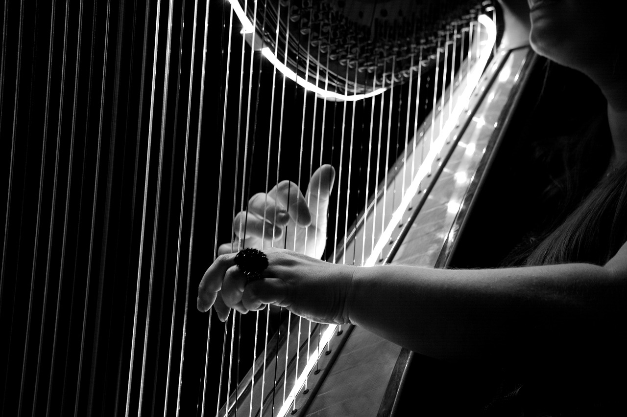 Concert with a difference in Mountshannon