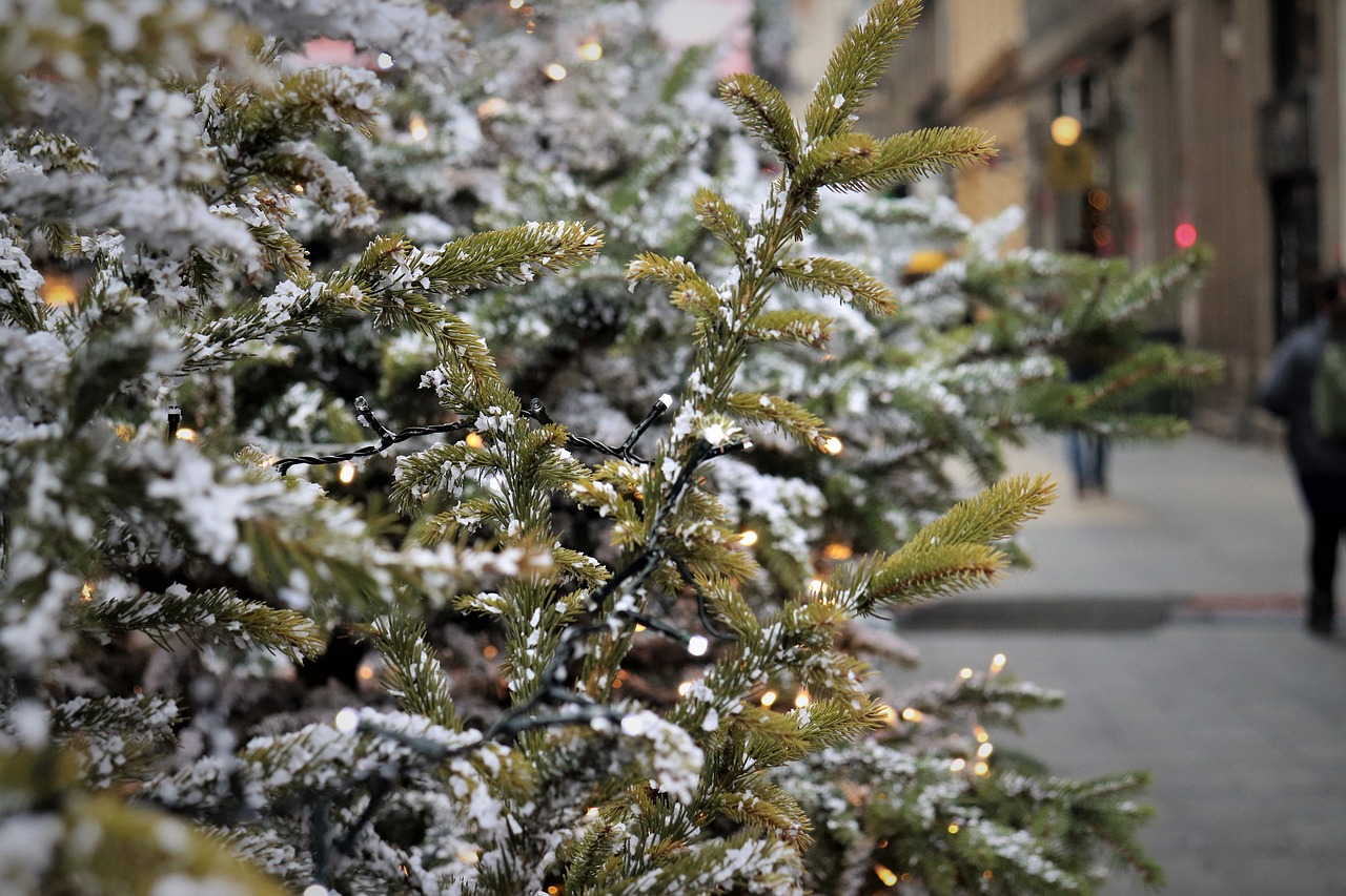 Milford’s Annual ‘Light up a Memory’ on December 4th