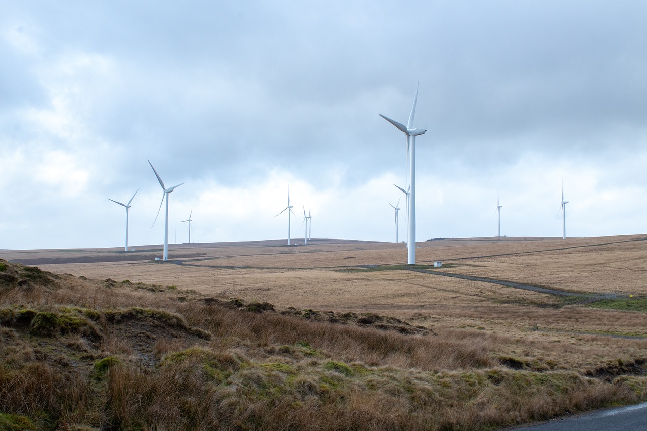 FuturEnergy Ireland launches new wind farm project