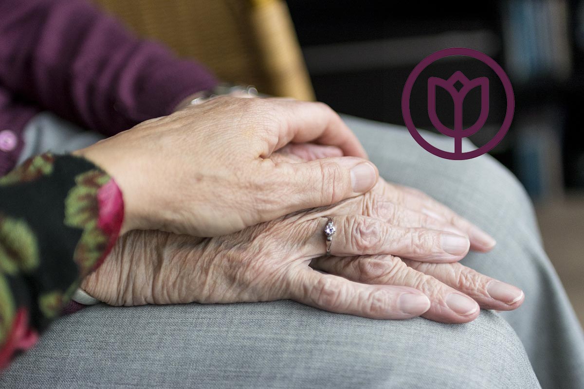 Home Instead seeking caregivers to join their team