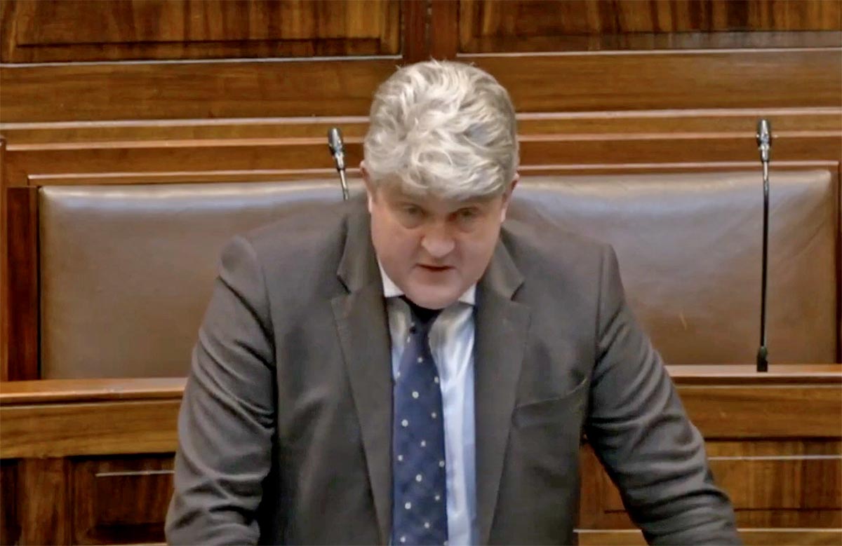 Need for independent Gaelcholáiste raised in Dáil