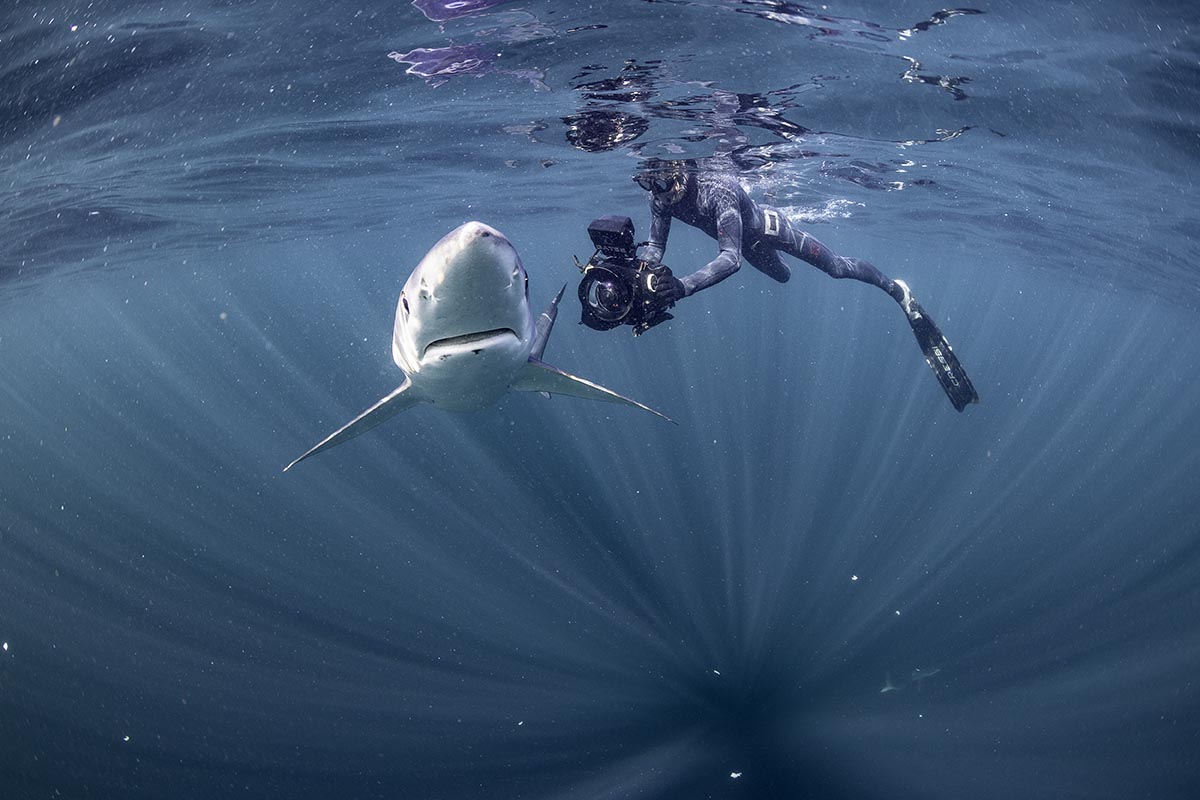 Clareman’s new nature series on RTÉ this Sunday