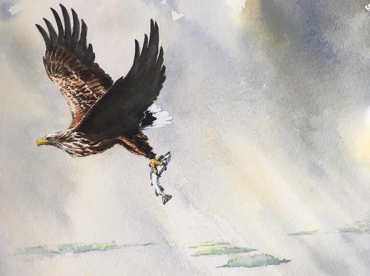 ‘Clarescapes’ by Philip Brennan at Scariff Library