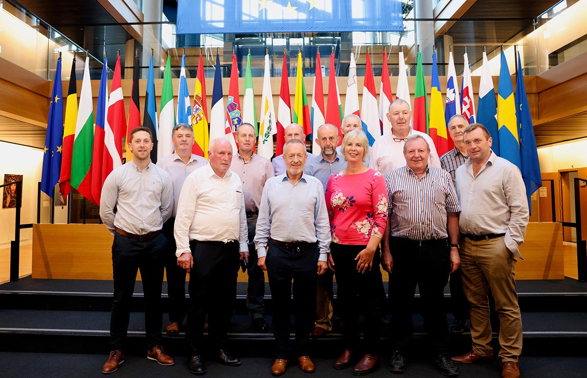 Kelly hosts Kerry Co-Op representatives at European Parliament