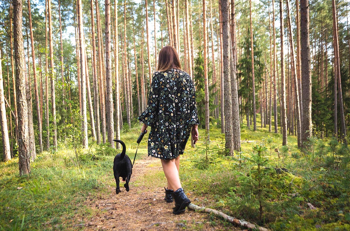 Coillte encouraging people to enjoy their local forest