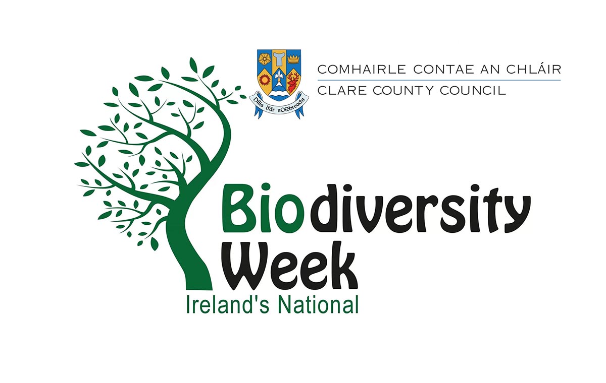 Clare’s biodiversity centre stage for National Biodiversity Week