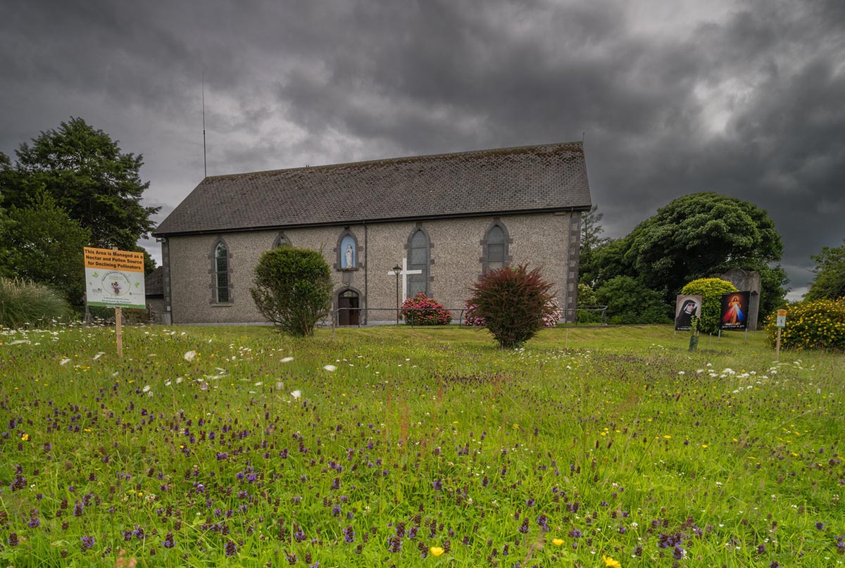 Clare church project responds to ‘Biodiversity Crisis’