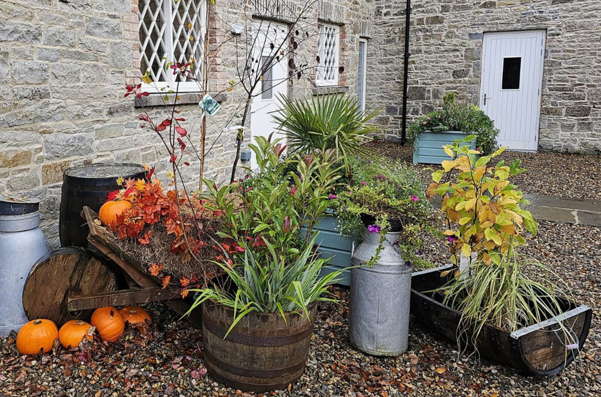 Harvest Day celebration at Vandeleur Walled Garden