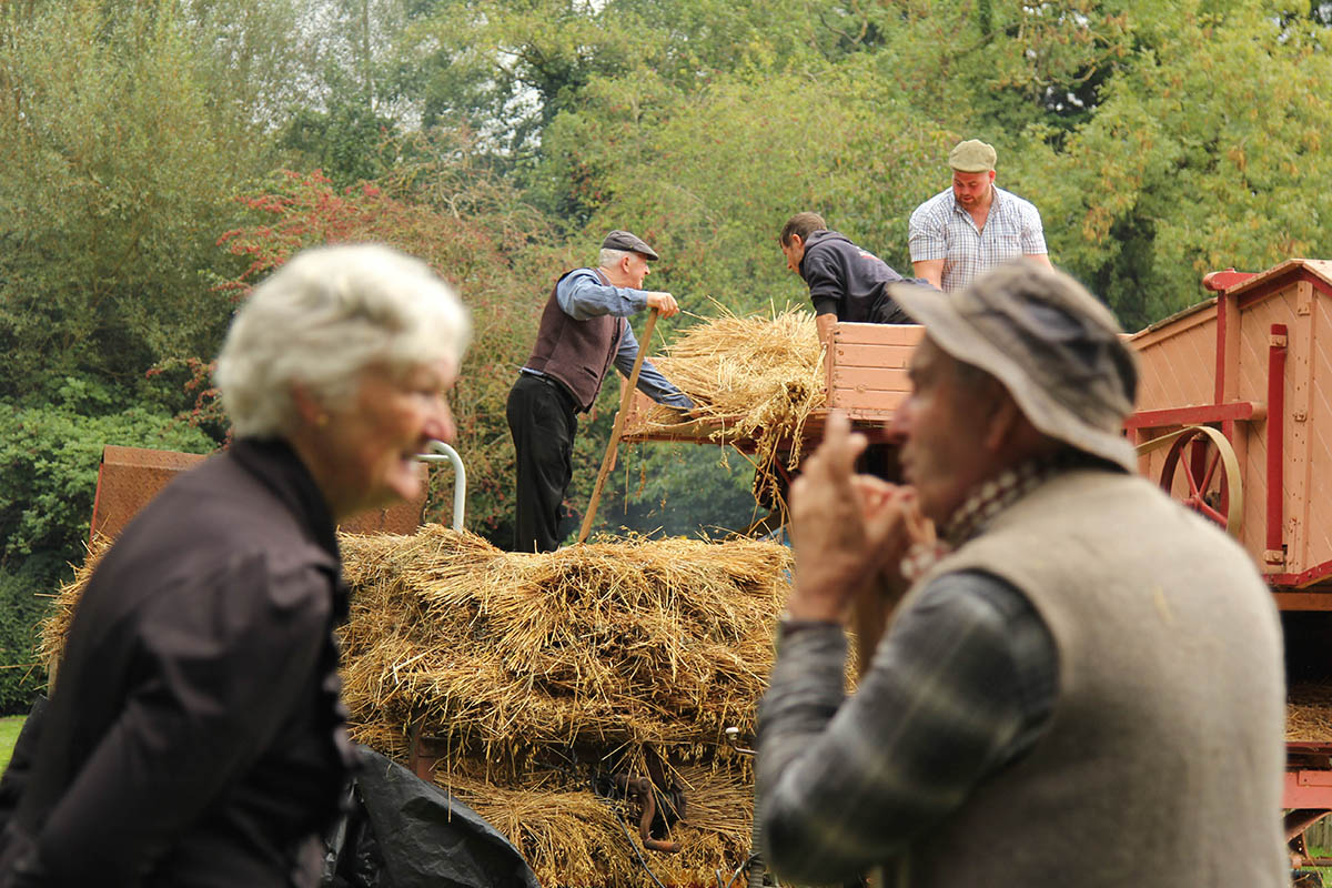 Collection of vintage farm machinery at Bunratty Harvest Day