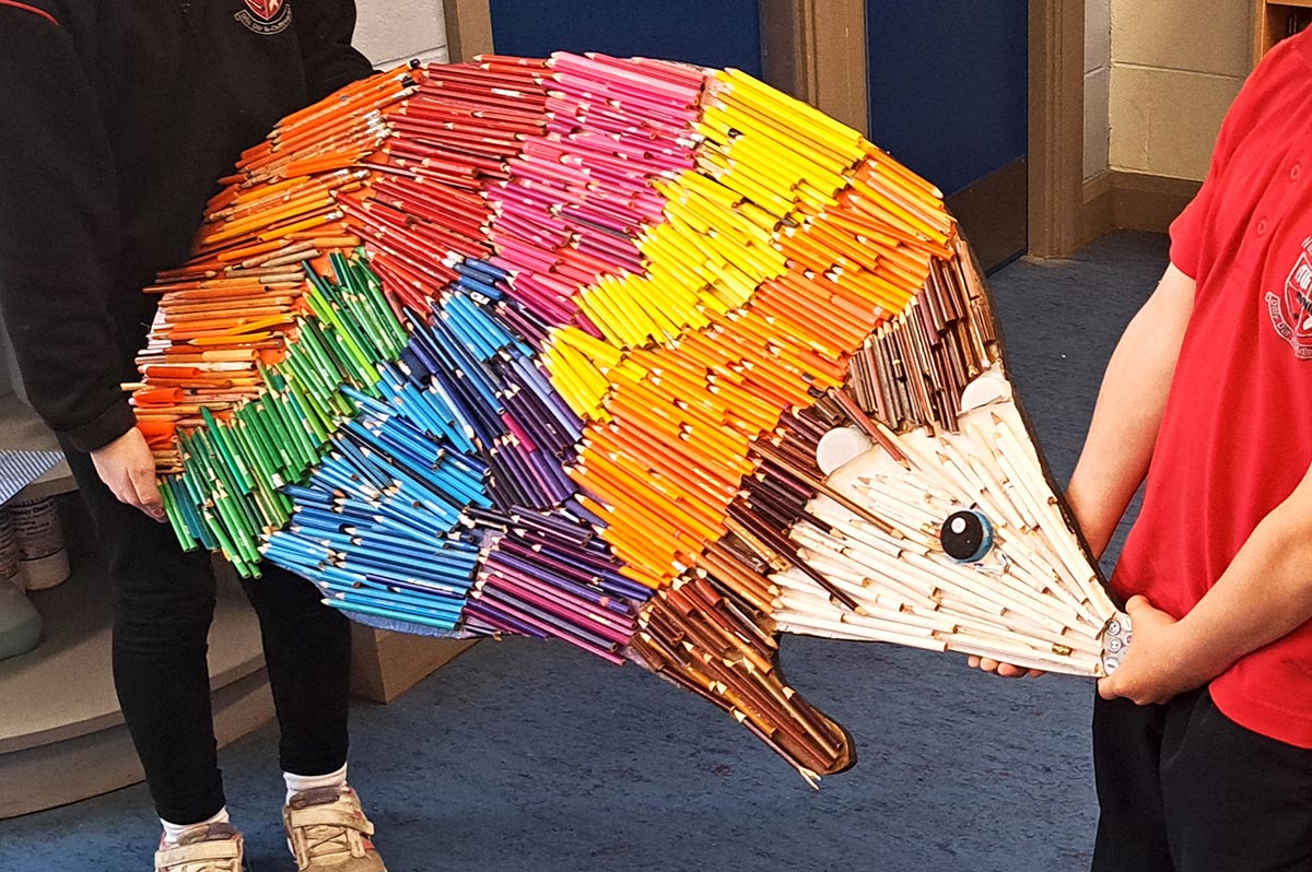 ‘Plastic Nature’ exhibition to open at Clare Museum