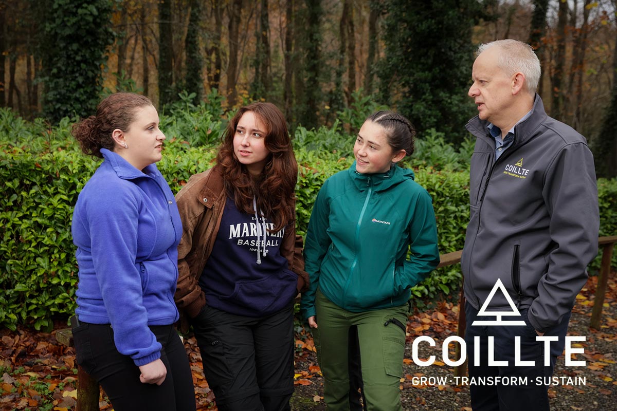 Students invited to apply for Coillte Forestry Scholarship