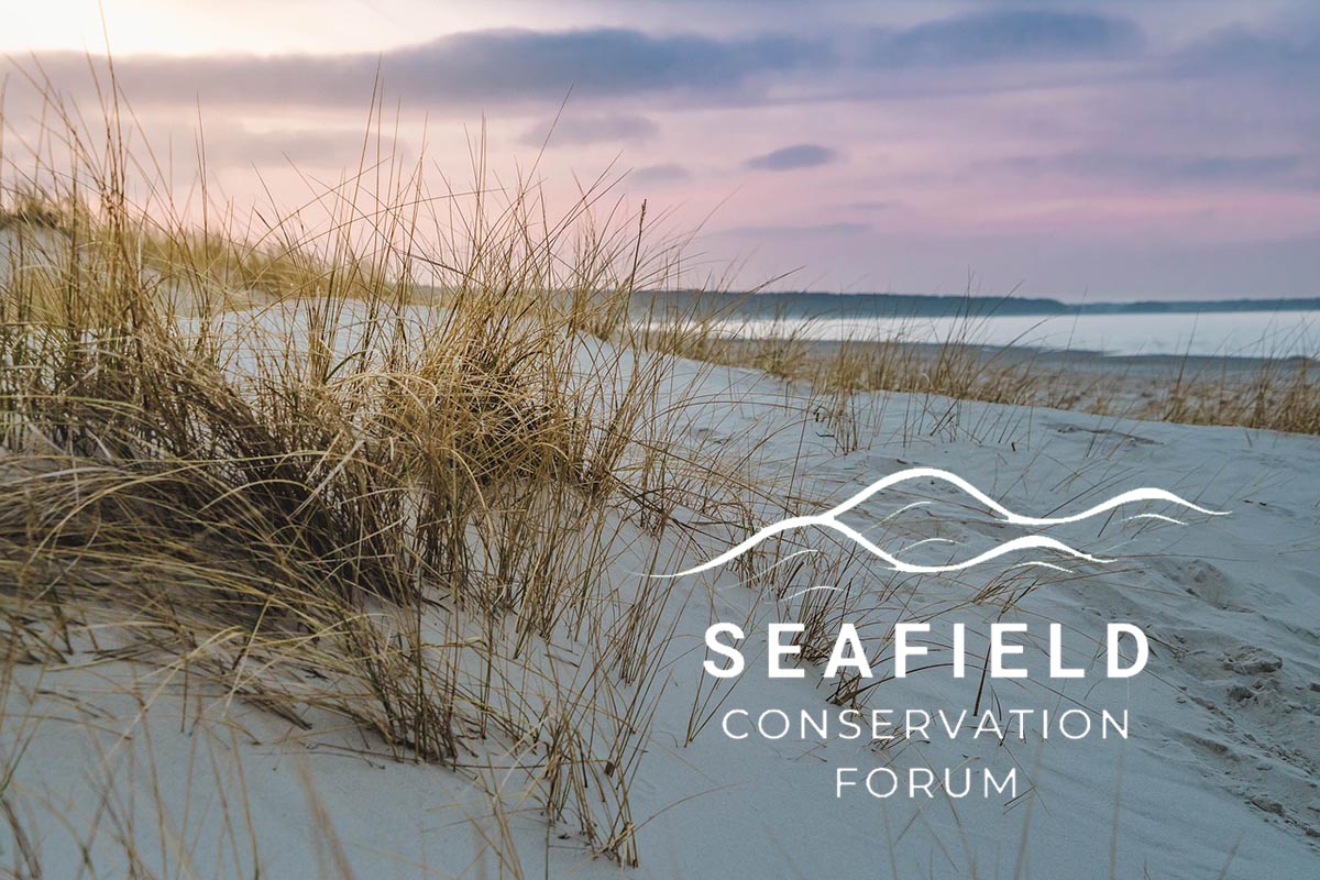 Seafield sand dune system goes online