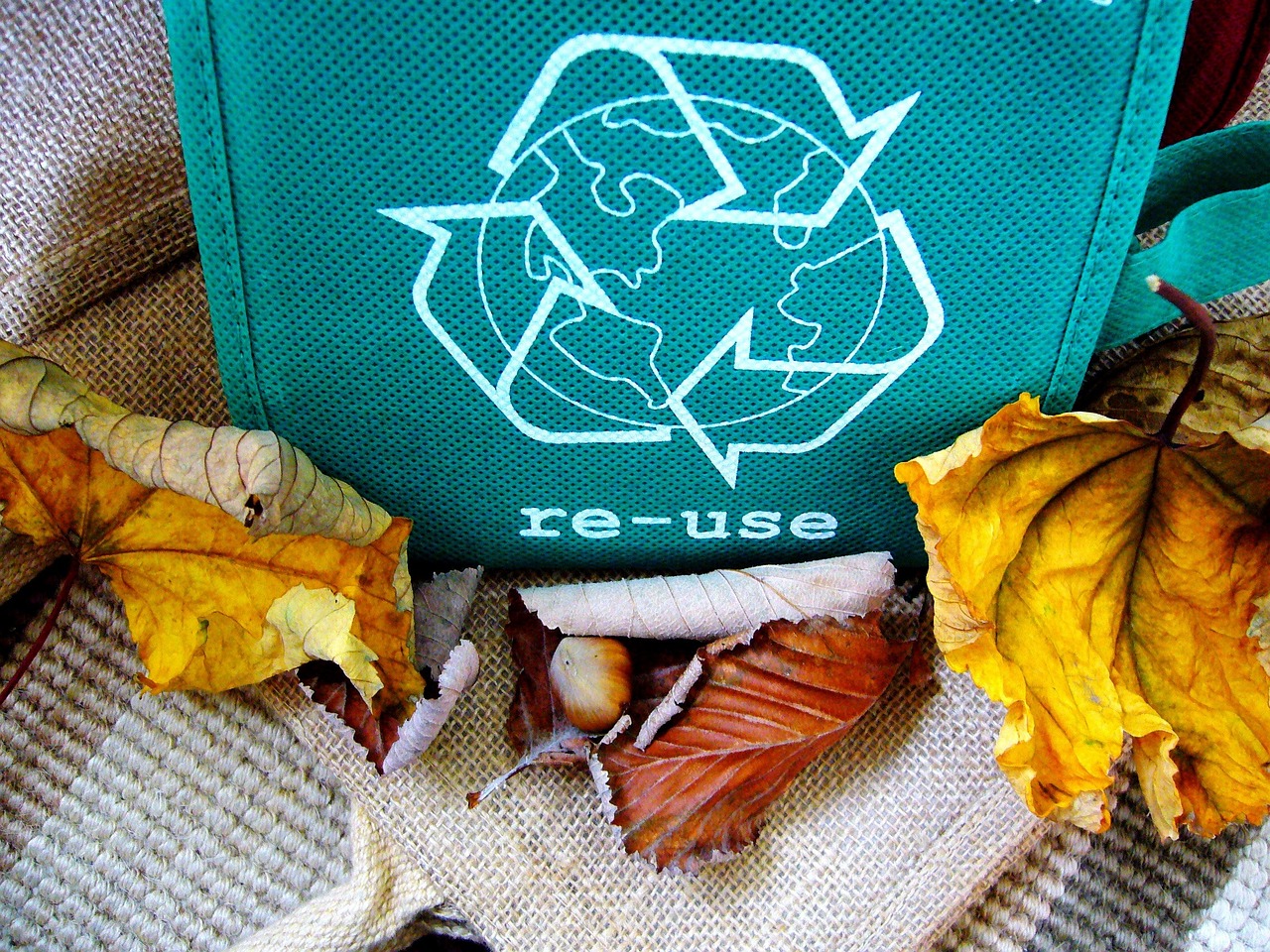 Public encouraged to think “Circular” this Christmas