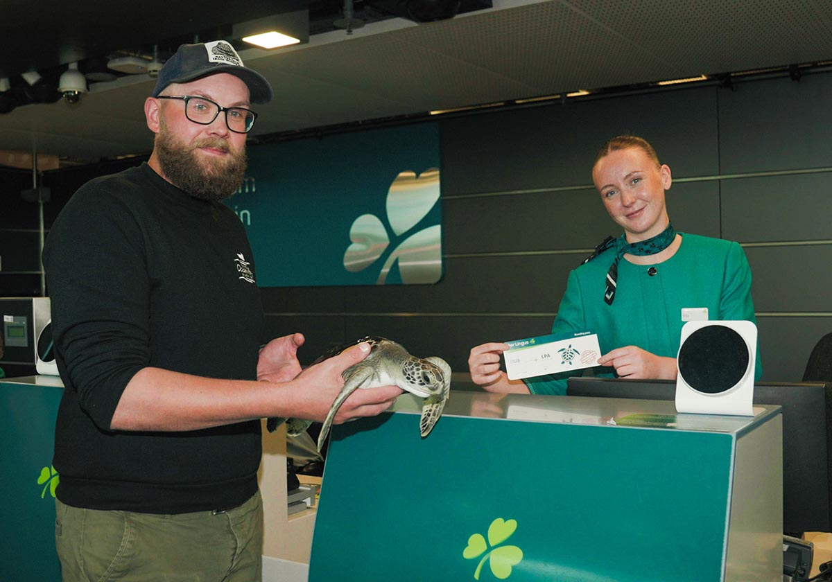 Young turtle rescued in Clare flown home by Aer Lingus