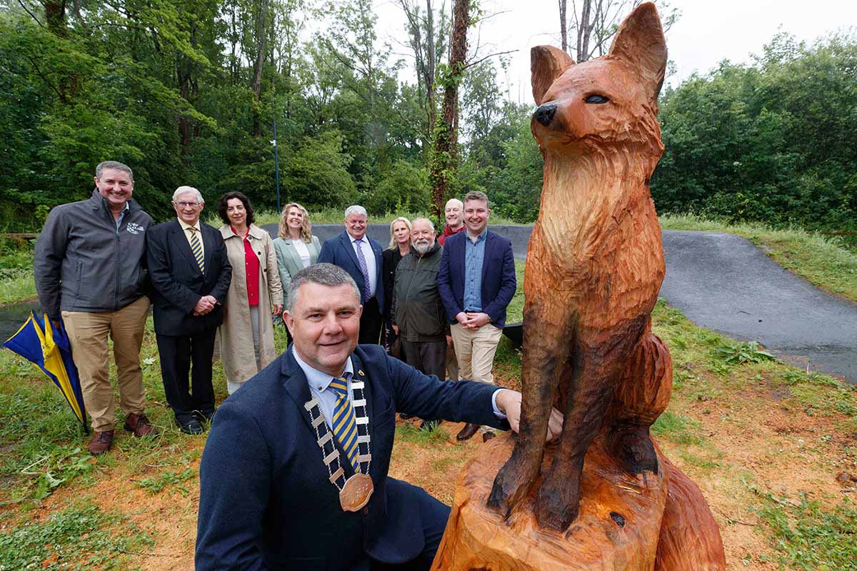 Shannon’s old trees carve new life in Town Park
