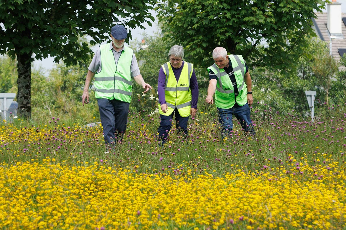Community groups bring new life to Ennis public spaces