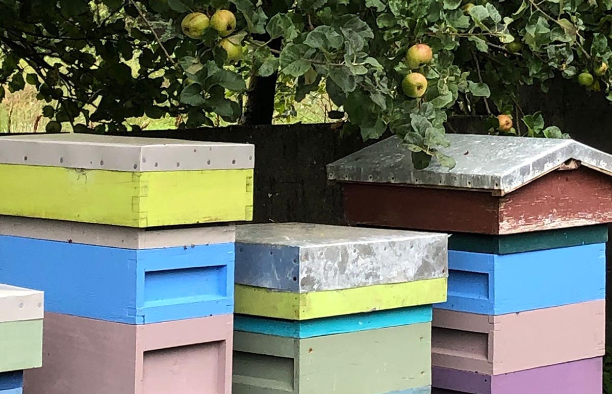 Launch of Skills for Life Programme at Clare Libraries