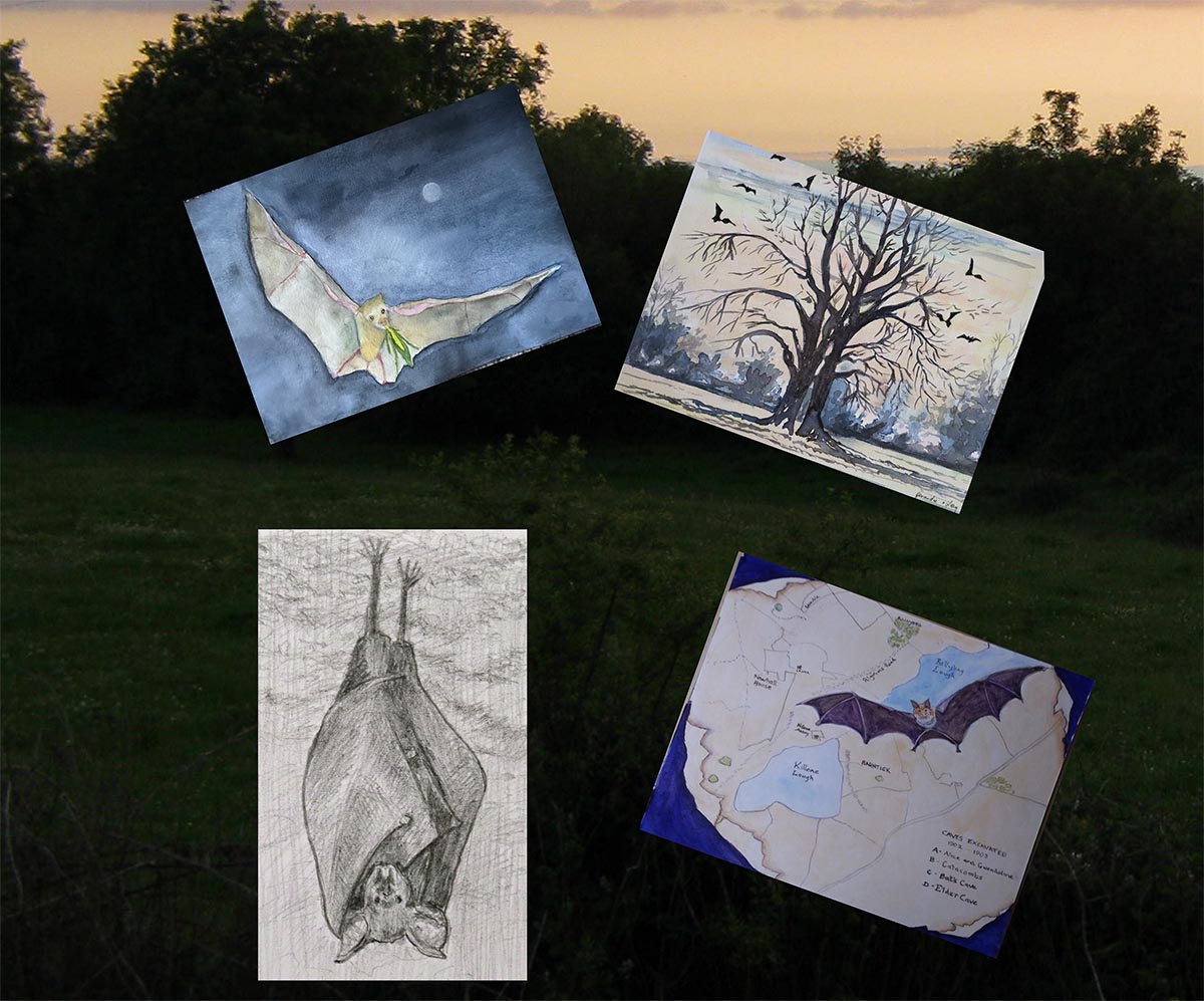 Inis Artists extend Lesser Horseshoe Bat project