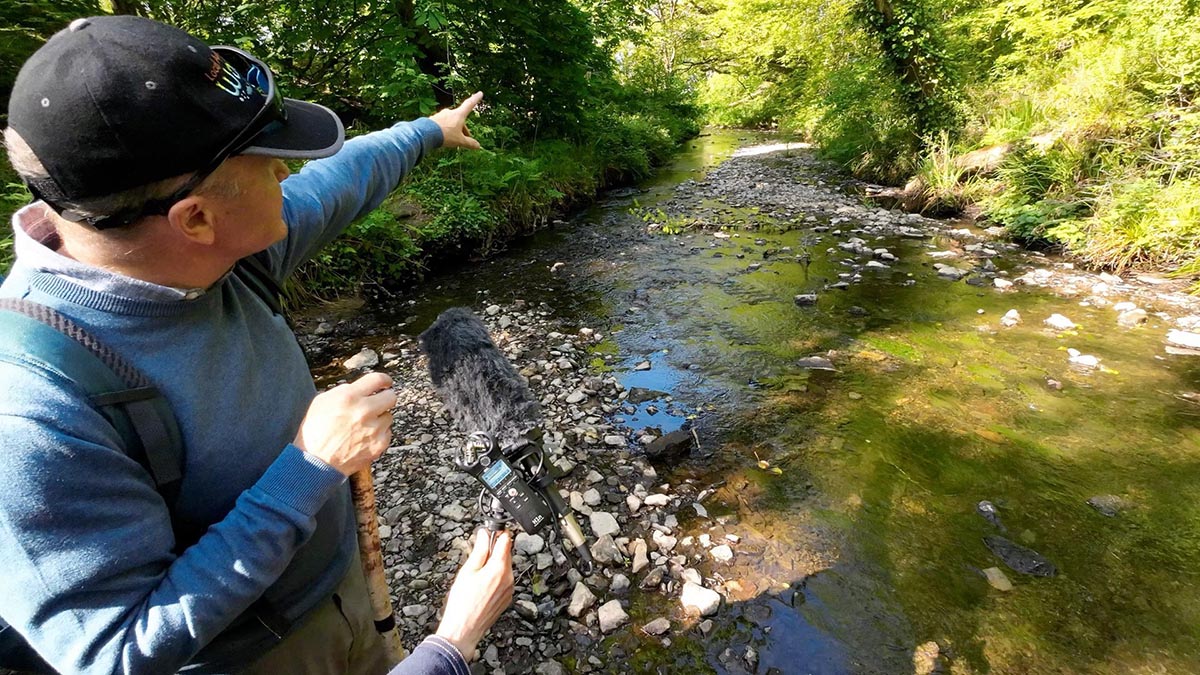 ‘Fish Live in Trees’ – Two-day gathering on Ballymacraven River