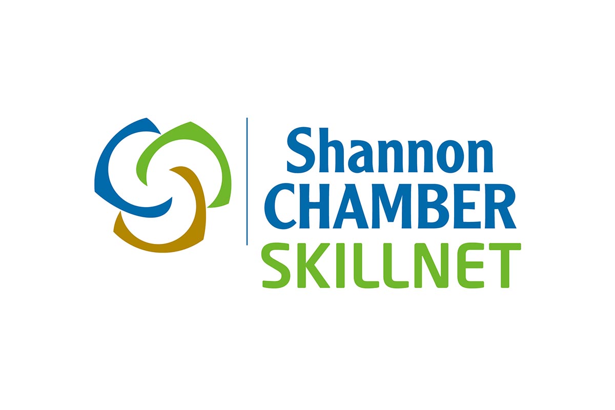 Mechanics take part in (EV) systems repair programme