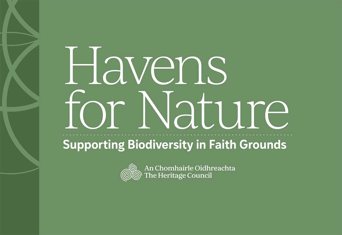Turning Faith Communities into Havens for Nature in Clare