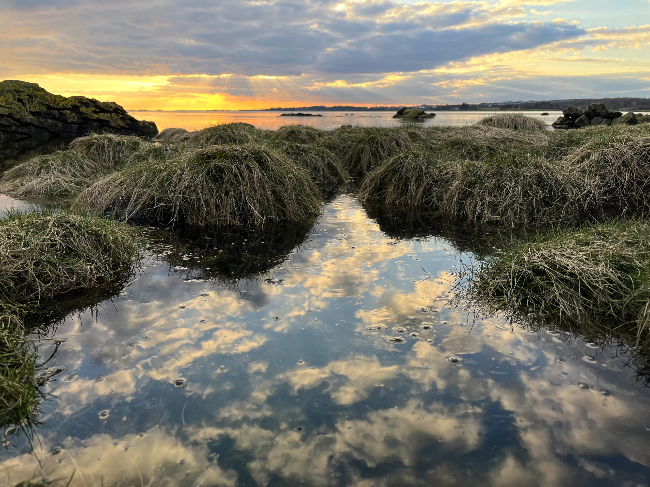 Seamount College and KAVA Presents ‘Essence’ in Kinvara