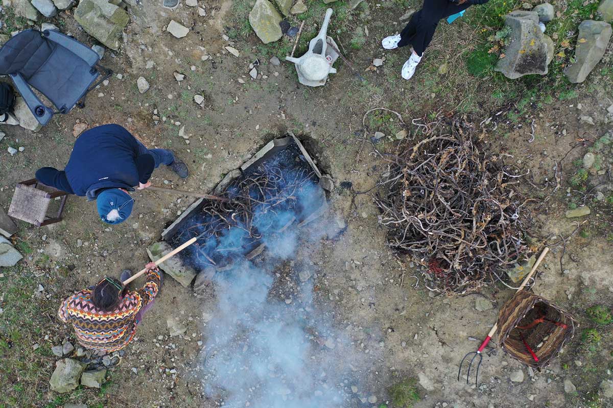 A Gathering of Seaweed and Shore People at Clare Museum
