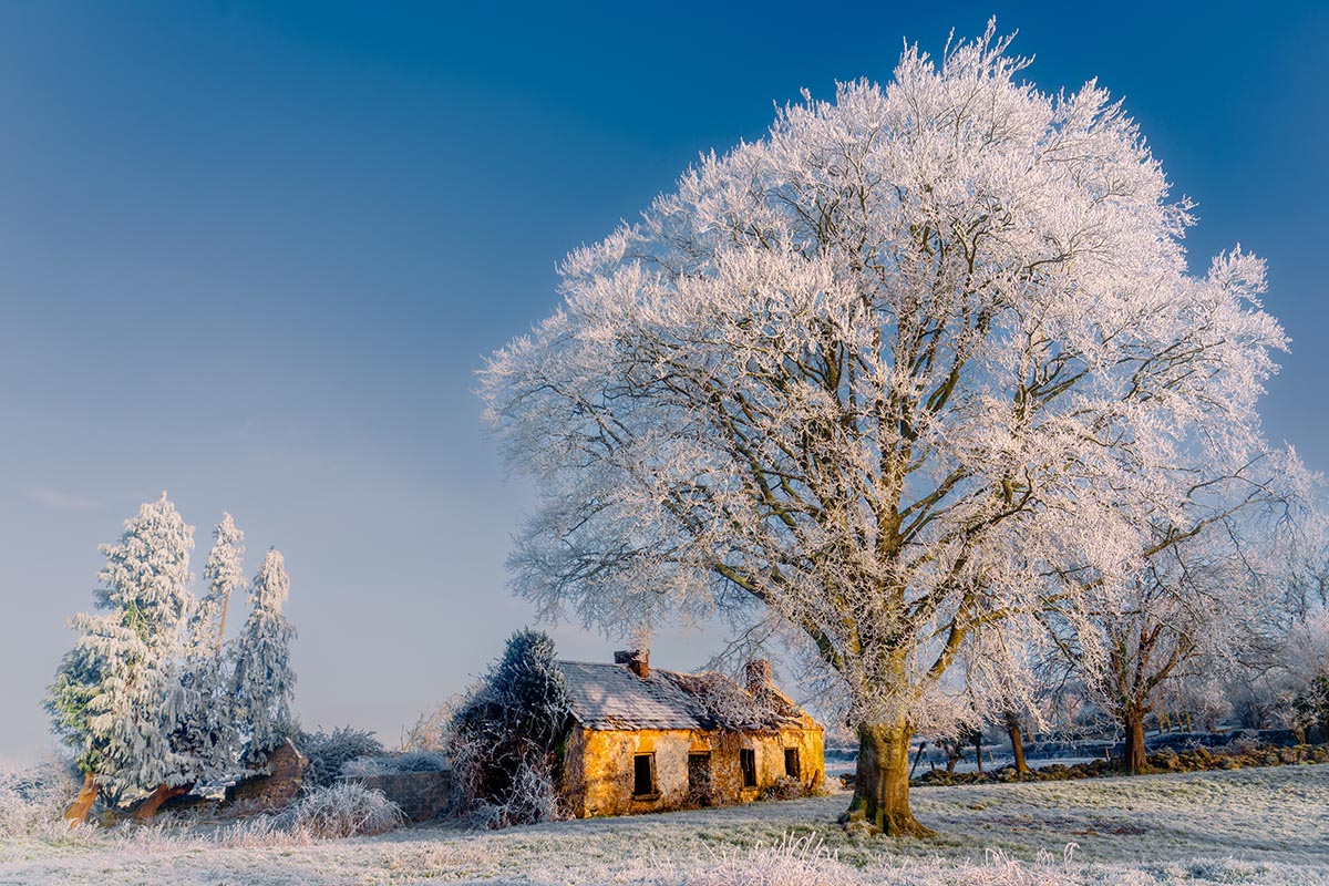 ‘Vibrant Captures’ – An Exhibition by Clare Camera Club