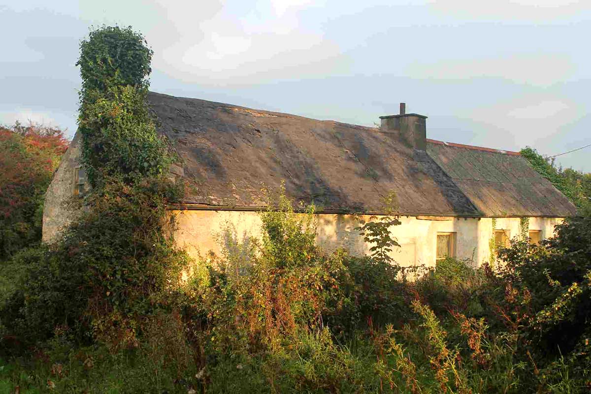 Conservation Advice Scheme Grant for Traditional Houses