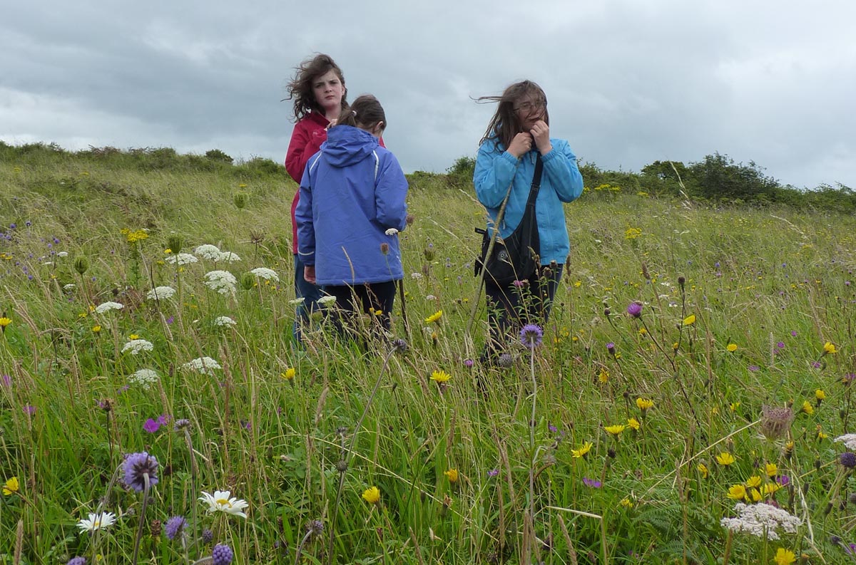 Month-long programme for Burren in Bloom 2026